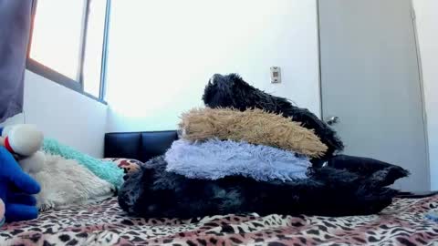 Snapshot of melisagalindo chatting on October 2, 7:13 pm Melissa Galindo online show from October 2, 7:13 pm