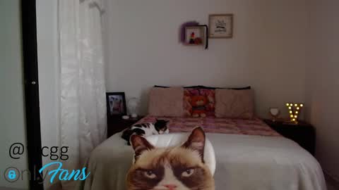 Ninna Rousse online show from February 4, 8:17 pm