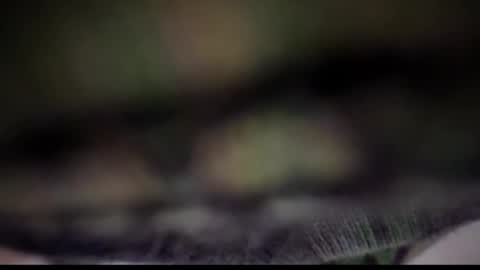 Snapshot of nloraaa chatting on February 25, 5:08 am Tears Lora online show from February 25, 5:08 am