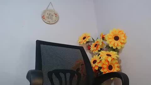 Snapshot of noah_miller7 chatting on January 27, 10:27 am Noah Millers online show from January 27, 10:27 am