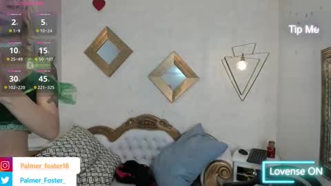 Snapshot of palmer_foster chatting on February 20, 9:09 pm Palmer online show from February 20, 9:09 pm