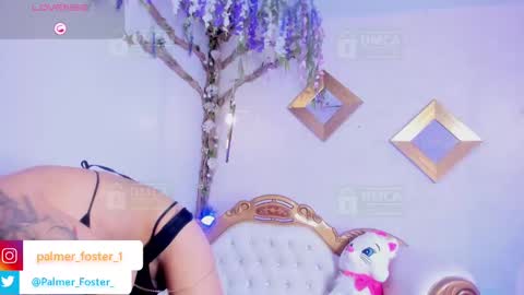 Snapshot of palmer_foster chatting on September 25, 9:22 pm Palmer online show from September 25, 9:22 pm