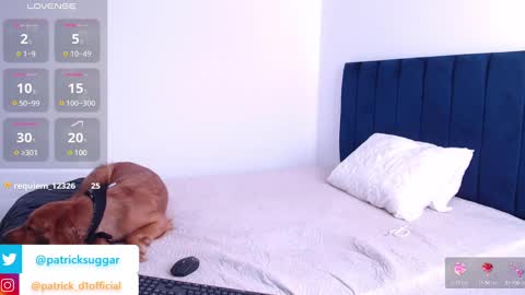 Snapshot of patrick_d01 chatting on December 5, 6:39 pm Patrick online show from December 5, 6:39 pm