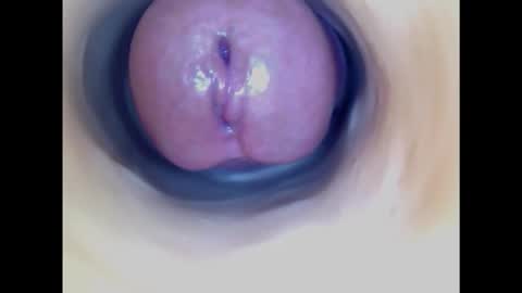 Paula 18 Aninhos online show from January 23, 1:45 pm
