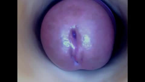Paula 18 Aninhos online show from February 6, 3:16 am