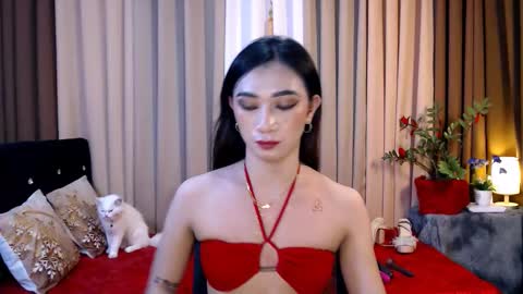 Snapshot of prettyakhira chatting on February 11, 8:20 pm shakira online show from February 11, 8:20 pm