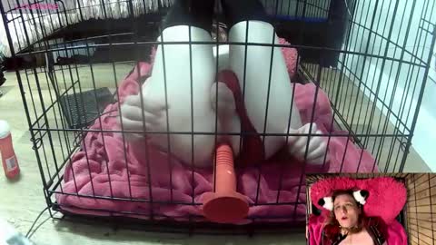 PrIncessJulia0X online show from February 3, 2:11 am