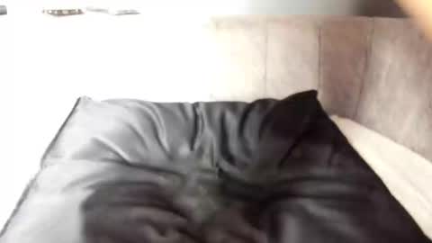 Snapshot of putinna chatting on October 6, 7:47 pm Pau Manchita online show from October 6, 7:47 pm