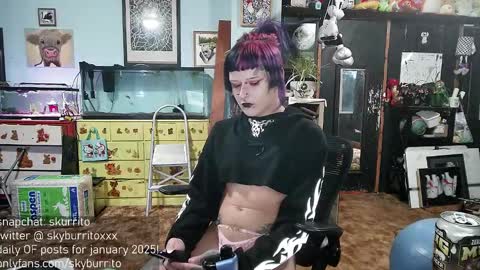 Sky Burrito online show from December 28, 12:57 am