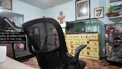 Sky Burrito online show from February 11, 11:12 pm