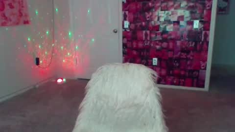 samanthaporsha online show from December 27, 2:04 am