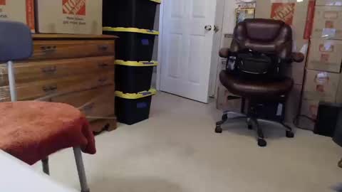 Sammy online show from October 16, 2:17 pm