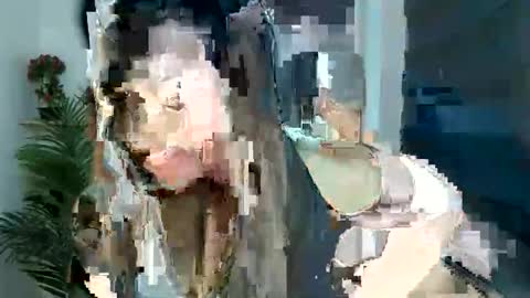    online show from January 13, 6:43 am