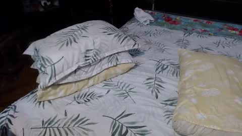 Snapshot of sensual_natalie chatting on October 2, 4:39 pm sensual_natalie online show from October 2, 4:39 pm