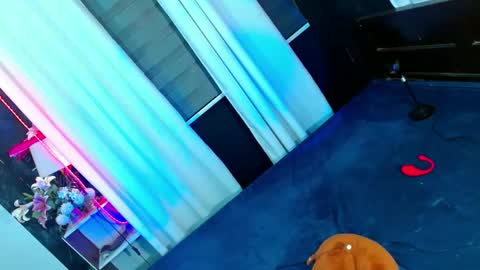 Snapshot of shane_hugexx chatting on December 8, 4:11 am MISS SHANE online show from December 8, 4:11 am