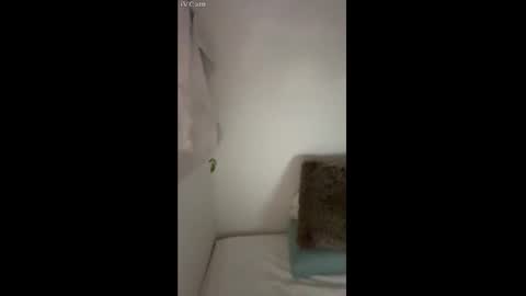 sissy slut online show from December 9, 1:24 pm