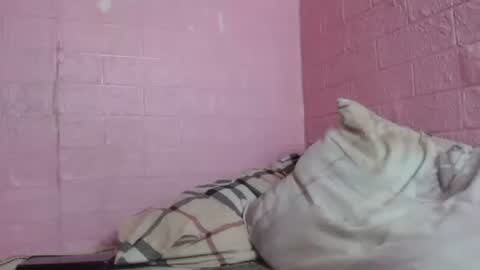 skinnybigcock_georgia online show from January 12, 9:40 pm