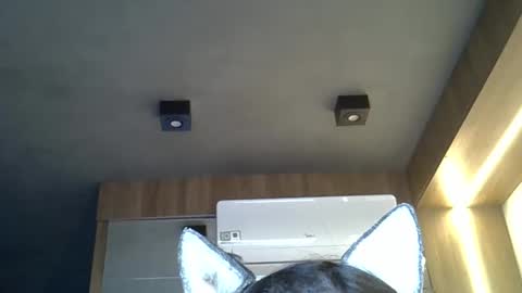 Snapshot of skinnykittencam chatting on September 30, 9:20 am skinnykittencam online show from September 30, 9:20 am