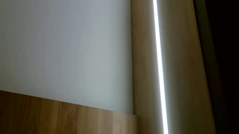 skinnykittencam online show from October 15, 2:55 am