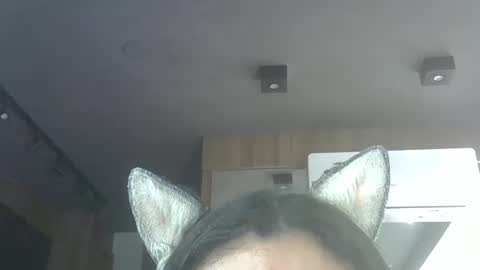 skinnykittencam online show from November 29, 2:46 am