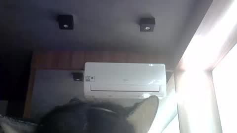 skinnykittencam online show from June 1, 9:27 pm