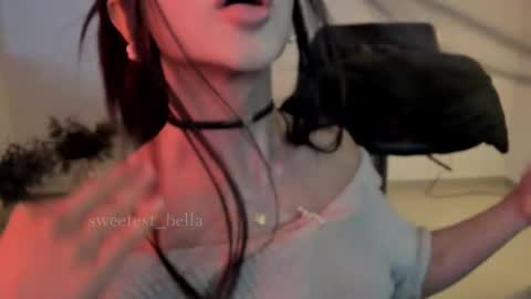 Snapshot of sweetest_bella chatting on September 10, 9:03 pm Bella online show from September 10, 9:03 pm