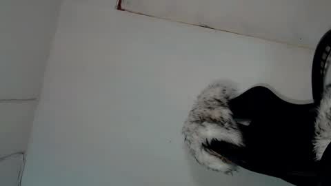 Luna online show from January 10, 3:18 am