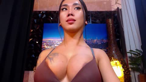 transpornidol online show from December 14, 8:04 pm