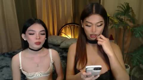 Snapshot of twinktransshanel chatting on October 7, 5:08 am twinktransshanel online show from October 7, 5:08 am