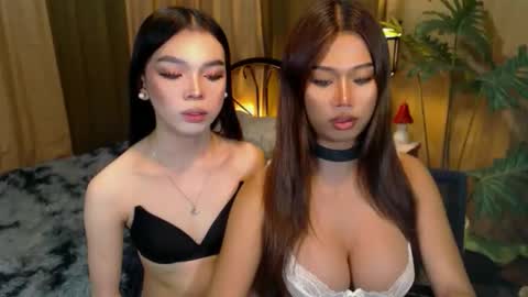 Snapshot of twinktransshanel chatting on October 9, 5:31 am twinktransshanel online show from October 9, 5:31 am