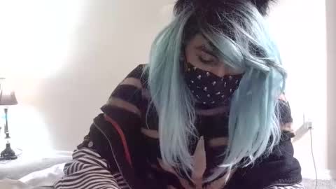 twinkyteddy online show from October 7, 3:40 am
