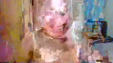 Snapshot of urlovercockxxx chatting on September 11, 3:04 am janah online show from September 11, 3:04 am