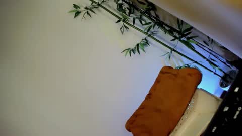 Snapshot of ursashafucker69 chatting on December 3, 10:45 am ursashafucker69 online show from December 3, 10:45 am