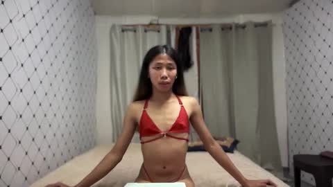 Zinnia nics online show from November 16, 9:30 am