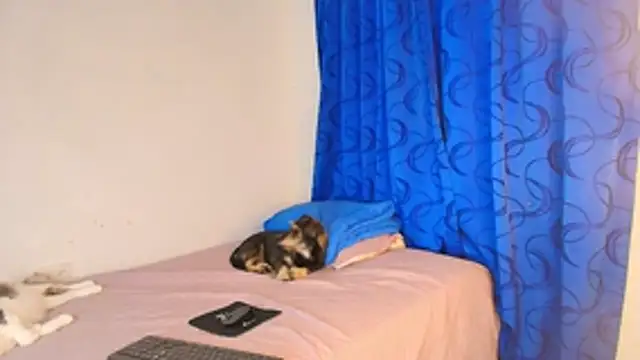 Oh Tique online show from November 2, 7:34 pm