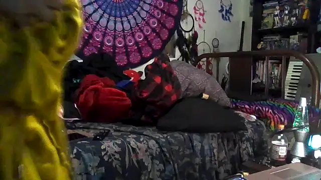 GardeniaFields online show from November 26, 8:27 am