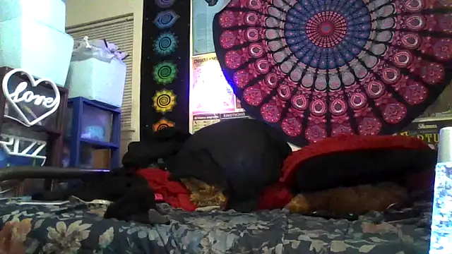 GardeniaFields online show from January 19, 6:22 am