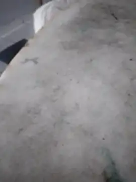 suellen32 online show from December 14, 5:19 pm