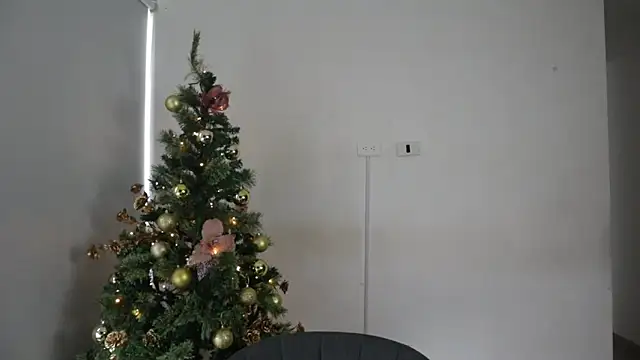 Snapshot of _Vahos_ chatting on December 21, 6:12 pm Vahos online show from December 21, 6:12 pm