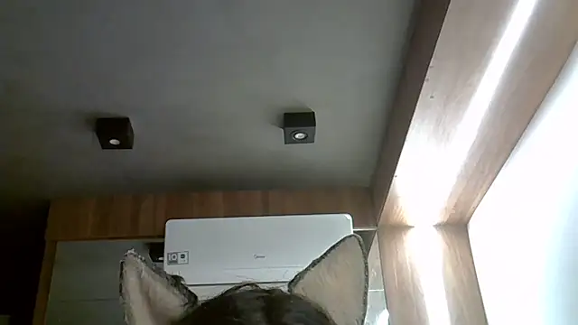 Snapshot of Skinny-Kitten chatting on September 19, 5:35 am Skinny-Kitten online show from September 19, 5:35 am