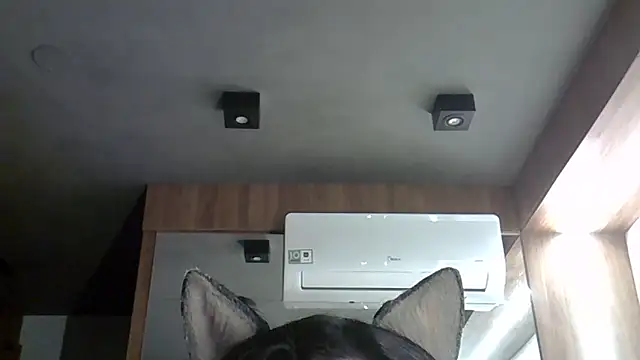 Snapshot of Skinny-Kitten chatting on September 29, 3:39 am Skinny-Kitten online show from September 29, 3:39 am