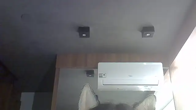 Skinny-Kitten online show from February 15, 7:51 am